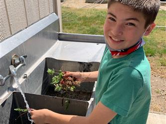 child washing vegetables
